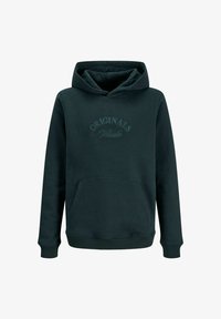 Unselected, forest river