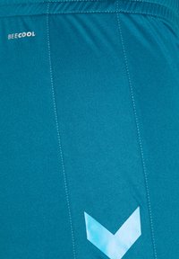 Mėlyni sportiniai šortai, pagaminti iš lygios, lengvos medžiagos. Yra baltos siūlės ir mažas baltas logotipas ant juostos. Akcentas - šviesiai mėlynas zigzagas.