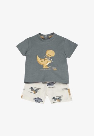 Graues T-Shirt mit kurzen Ärmeln, bedruckt mit einem T-Rex und Text, kombiniert mit cremefarbenen Shorts, die Dinosaurierillustrationen und Namen zeigen. Aus Baumwollmaterial.