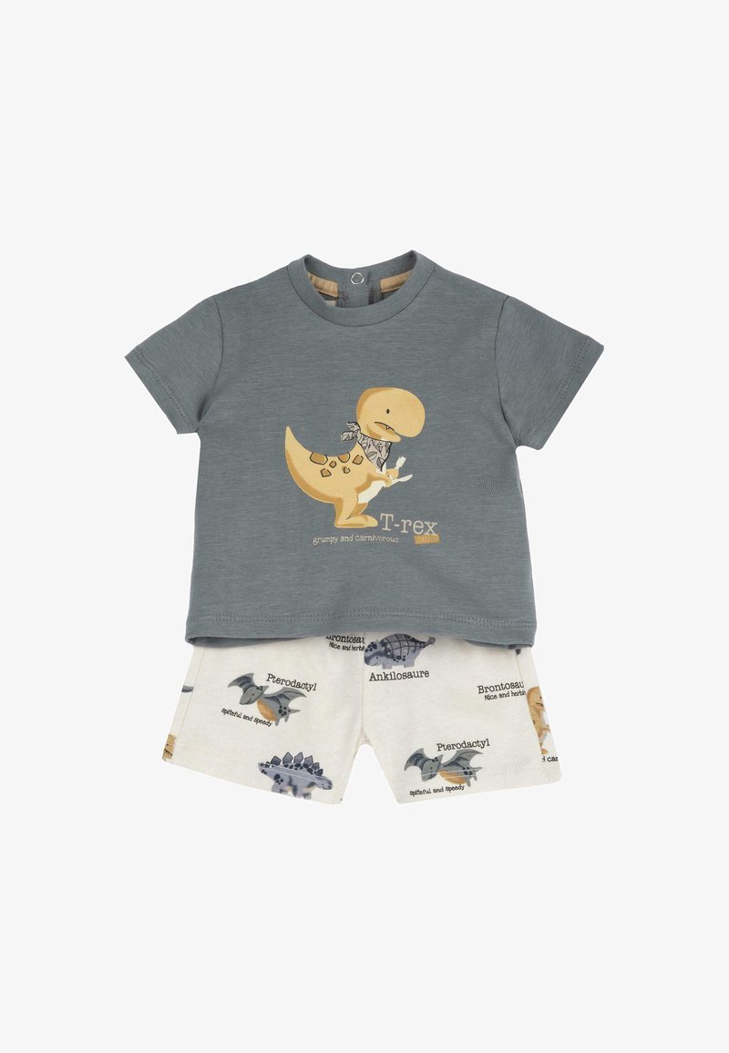 T-shirt gris à manches courtes avec un graphique de T-rex et du texte, associé à un short crème avec des illustrations de dinosaures et leurs noms. Matière en coton.