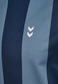 Sportströja med horisontella ränder i mörk marinblå och ljusblå, tillverkad av luftigt meshtyg. Vit logotyp med chevrondesign ingår.