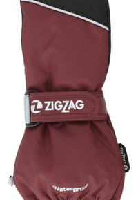 Bordeauxrote wasserdichte Handschuhe mit schwarzen Akzenten, ausgestattet mit einem Klettverschluss und einem weißen Logolabel. Weicher Stoff und isoliertes Design.