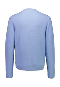 Maglione lavorato a maglia azzurro chiaro con trama a coste, maniche lunghe e scollo rotondo, con vestibilità casual e senza elementi di fissaggio visibili.