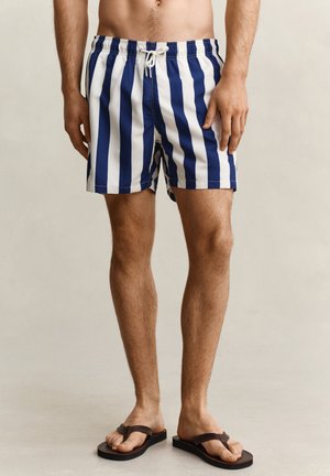 Man draagt blauw-wit vertical gestreepte zwemshorts en donkerbruine slippers, staand tegen een lichte neutrale achtergrond.