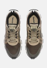 Bruine en beige sportieve schoenen met een bovenwerk van mesh, veters, logo op de tong en een gestructureerde zool. Voorzien van synthetische materialen en contrasterende strepen.