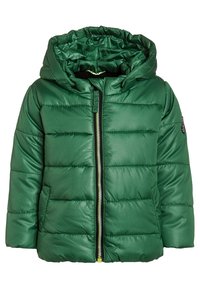 Zelená vycpaná bunda s lesklou, hladkou texturou. Obsahuje zip vpředu s jasně žlutým táhlem a kapucí, navržena pro teplo.