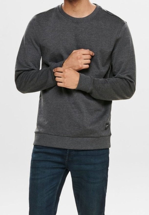 Grijze sweatshirt van zachte stof met een ronde halslijn, ribgebreide manchetten en zoom. Voorzien van een klein merklabel aan de onderzijde.