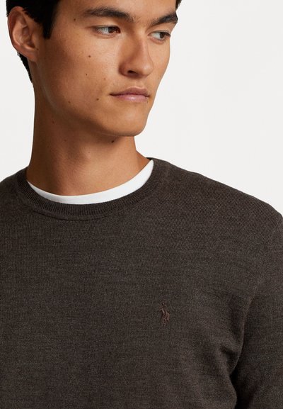 Polo Ralph Lauren LONG SLEEVE - Strickpullover - brown heather