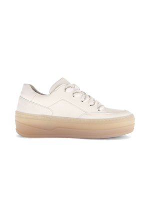 SNEAKER LOW - Sneakers laag - latte