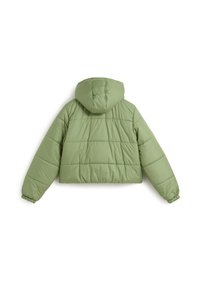 Chaqueta corta y esponjosa en color verde claro. Cuenta con una capucha y puños elásticos. La tela tiene una textura suave con paneles horizontales cosidos.