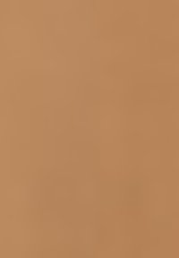 Gerry Weber Tygbyxor - light brown