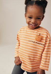 Next REGULAR FIT - Langarmshirt - orange pumpkin halloween