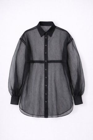 Juoda permatoma palaidinė su sagomis, ilgomis pūstomis rankovėmis, atlenkiamu apykakliu ir tiesia apačia. Pagaminta iš tekstūruotos medžiagos.