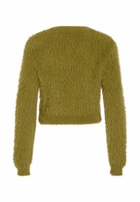 Flauschiger, kurzer Pullover in Olivgrün mit langen Ärmeln und einer strukturierten Oberfläche aus weichen, borstigen Fasern.