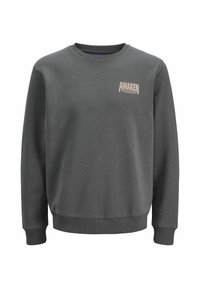 Grå sweatshirt med rund hals, ribbede manchetter og kant. Har "AWAKEN" logo i lys rosa på venstre forkant.