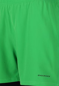 Gröna träningshorts i lätt material med elastisk midja. Funktioner inkluderar sidsömmar och "ENDURANCE"-logotyp i svart.