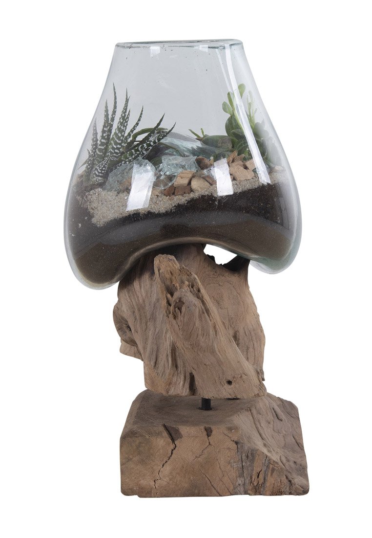 Terrario in vetro con forma bulbosa, contenente terra, piante e pietre decorative, montato su una base di legno testurizzato.