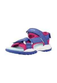 Sandale Geox cu bretele sintetice albastre și roz, închideri ajustabile cu Velcro, design deschis și o talpă căptușită albă și albastru deschis.