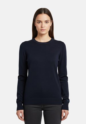 Donna con capelli lisci e scuri indossa un maglione blu navy a maniche lunghe semplice e pantaloni scuri, in piedi davanti a uno sfondo chiaro e neutro.