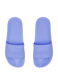 Kubota Pool slides - mottled purple