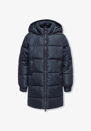 Abrigo de invierno - night sky