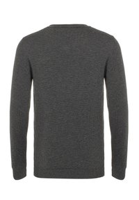 Dunkelgrauer Pullover mit rundem Ausschnitt und langen Ärmeln. Hergestellt aus weichem, strukturiertem Stoff mit gerippten Bündchen und Saum. Rückansicht dargestellt.