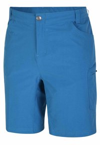 Blaue Shorts aus leichtem Stoff, mit einem vorderen Knopfverschluss, seitlichen Taschen und einer Cargotasche am rechten Bein.
