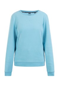 Ljusblå sweatshirt i mjukt tyg, med rundad halsringning, långa ärmar och ribbade muddar, samt en liten emblem på bröstet.