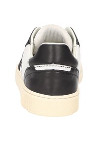 Sioux TED - Sneaker low - schwarz