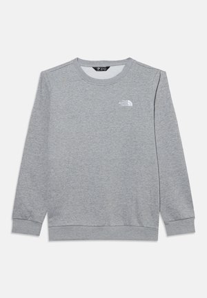 The North Face, TEEN EVOLUTION SIMPLE DOME UNISEX - Суитшърт - pale grey heather
