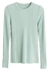 Maglietta a maniche lunghe di un delicato verde menta, con scollatura rotonda e tessuto strutturato. Design semplice senza decorazioni o motivi.