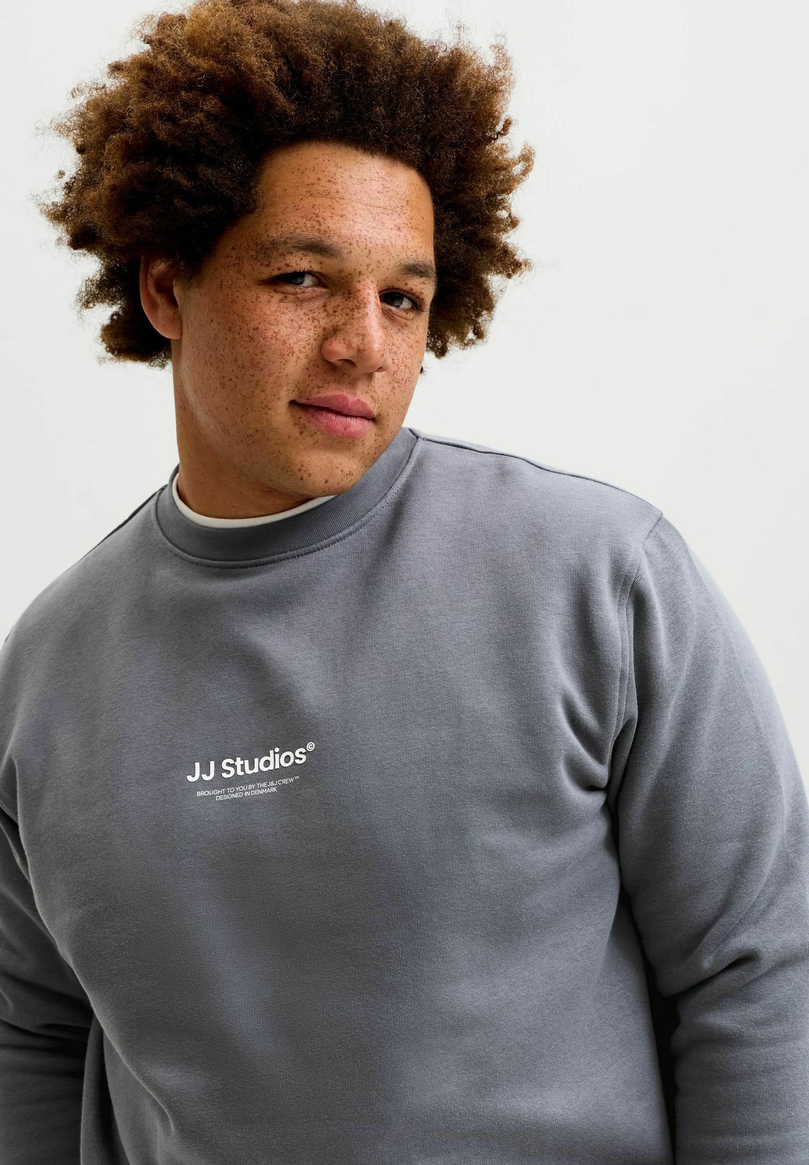 Jack & Jones JJESOHO SWEAT CREW NECK NOOS PLS - Sweatshirt