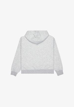 Haut à capuche crop gris avec une texture douce, doté d'une grande capuche et de poignets côtelés. Le dos est uni sans motifs ni designs.