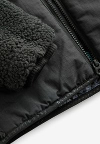 Next BORG - REGULAR FIT - Téli dzseki - black