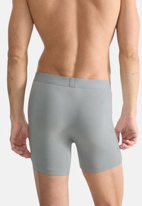 Pánské boxerky ve světle šedé barvě, vyrobené z hladké tkaniny, s elastickým pasem a přiléhavým střihem, který se přizpůsobuje tělu.