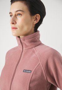 Columbia BENTON SPRINGS™ FULL ZIP - Giacca in pile - fig