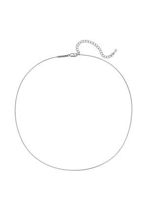 Silberne Metallkette, kreisförmig, glatte Oberfläche, mit verstellbarem Halsband. Minimalistisches Design mit einfachem Verschluss.