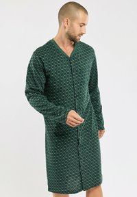 Robe verte à motifs, à manches longues, avec un devant boutonné et un décolleté en V. Présente un imprimé géométrique dans des tons plus foncés de vert.