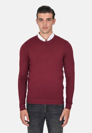 Maglione bordeaux in tessuto lavorato a maglia, con scollo rotondo, maniche lunghe e polsini a coste. Abbinato a una camicia bianca con colletto sotto.