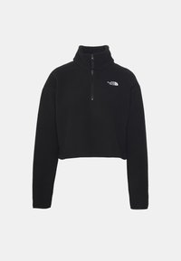 Pullover corto in pile nero con zip a un quarto e logo The North Face sul petto sinistro, maniche lunghe e colletto alto.