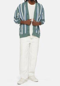 Striped cardigan in green, blue, and white, with a soft texture, button closure, and ribbed cuffs, worn over a white T-shirt and light pants.