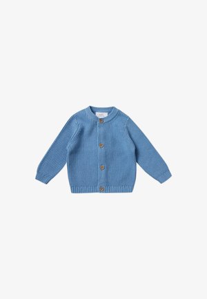 Lichtblauwe gebreide cardigan met lange mouwen, ronde hals en vijf houten knopen aan de voorkant. Geribbelde manchetten en zoom.