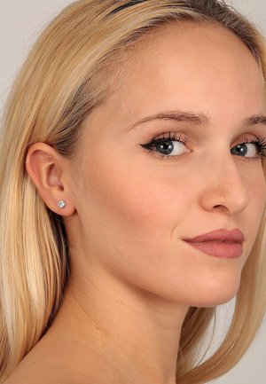 FAVS Ohrringe - sølv farve