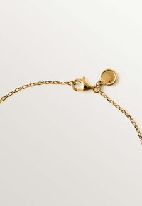 Collar de cadena de oro con un cierre de langosta y una etiqueta circular. La cadena presenta eslabones pequeños y uniformes, con una textura lisa y brillante.