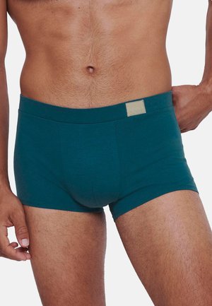 Grüner Baumwoll-Shorts mit glatter Textur, ausgestattet mit einem weichen Bund und einem kleinen, rechteckigen Logo-Tag auf der Vorderseite.
