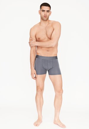 Grijze boxershorts met een elastische tailleband, met een aansluitende pasvorm en een zachte textuur. Het ontwerp bevat stiksels en minimale branding.