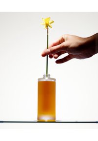 Miniatyrbilde 3