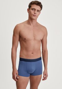 Blue boxer briefs featuring a navy elastic waistband with logo, ribbed texture, and a fitted design, suitable for casual wear.