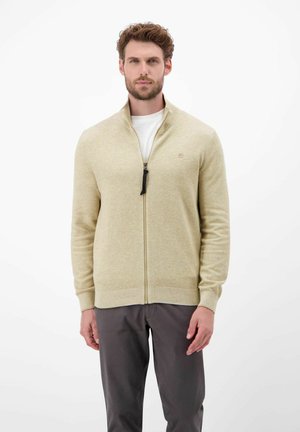 Mann mit Bart, der einen beigen Reißverschluss-Pullover über einem weißen Hemd und dunklen grauen Hosen trägt, steht vor einem schlichten weißen Hintergrund.