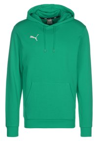 Puma TEAMGOAL 23 CASUALS HOODIE HERREN - Felpa con cappuccio - pepper green